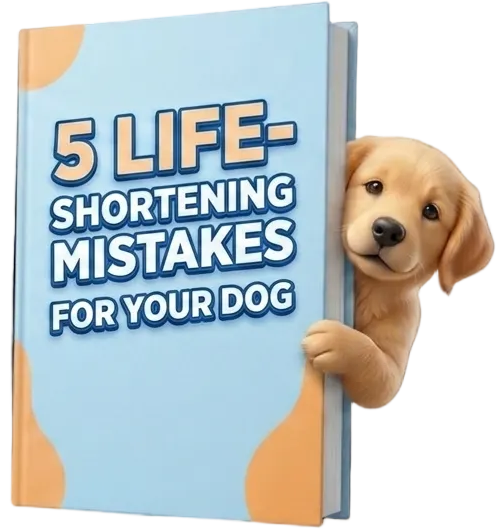 5 Quiet Mistakes Shortening Your Dog’s Life 🛑 (2026 Guide)