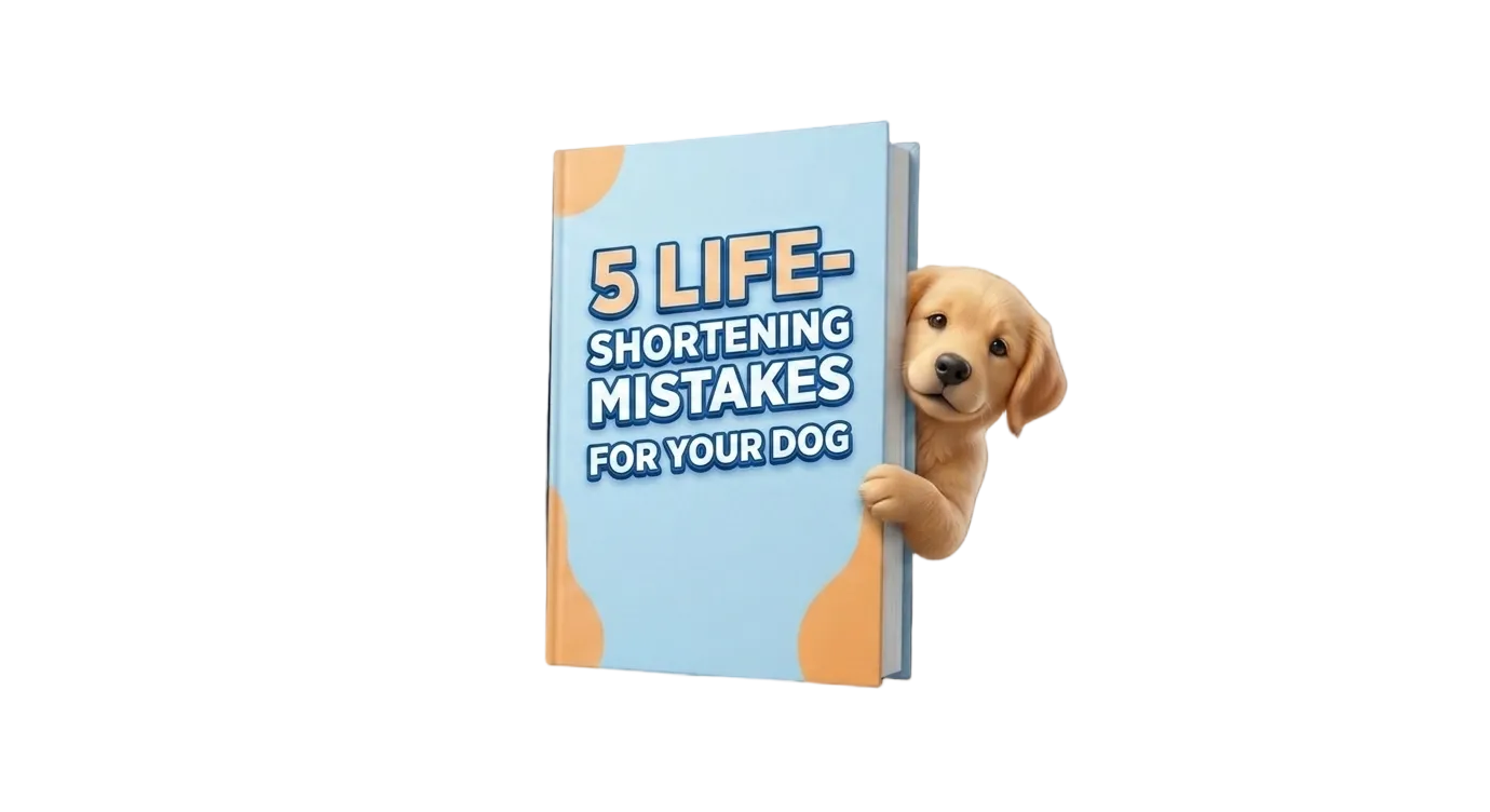 5 Quiet Mistakes Shortening Your Dog’s Life 🛑 (2026 Guide)