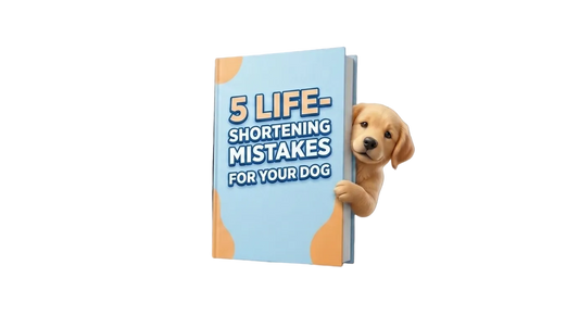 5 Quiet Mistakes Shortening Your Dog’s Life 🛑 (2026 Guide)